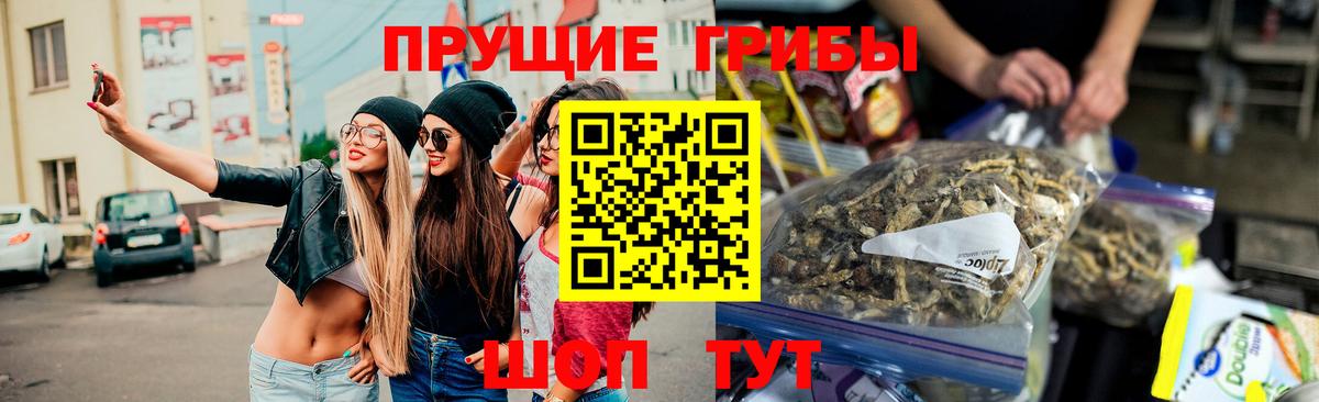 Псилоцибиновые грибы ЛСД Белово